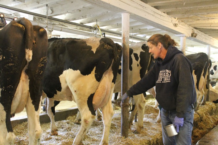 Nông dân Mỹ chịu ảnh hưởng tiêu cực từ chính sách thuế quan mới của ông Trump ảnh 3