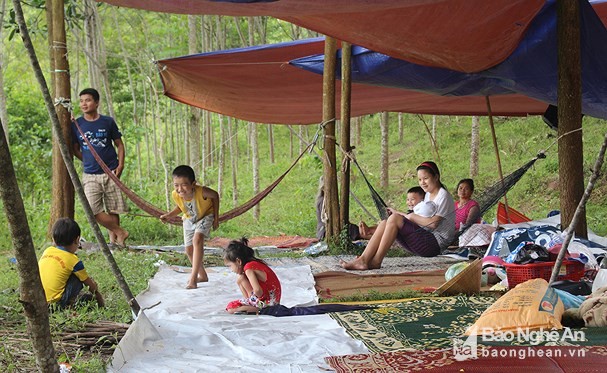 Nghệ An: Bác tin vỡ đập Bản Vẽ, truy tìm kẻ tung tin thất thiệt ảnh 1