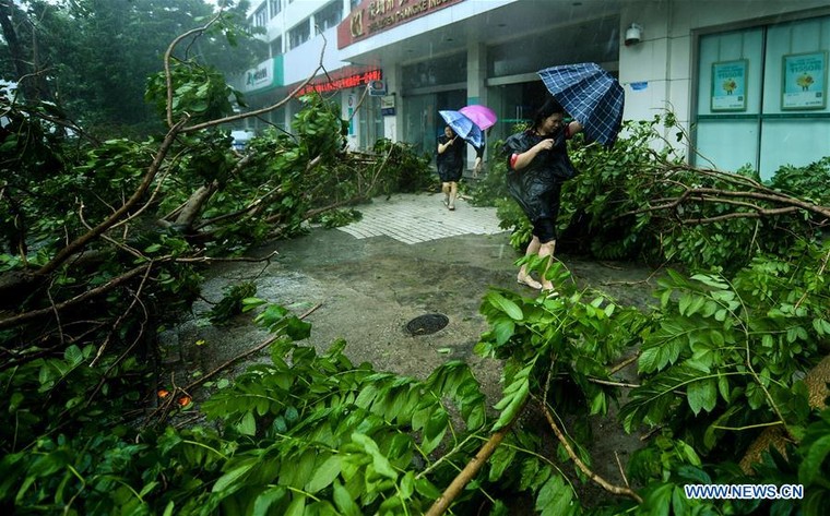 Trung Quốc: Bão Mangkhut gây tê liệt hệ thống giao thông tại Quảng Đông ảnh 2
