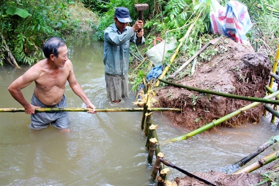 Người dân ĐBSCL khốn khổ vì triều cường ảnh 1