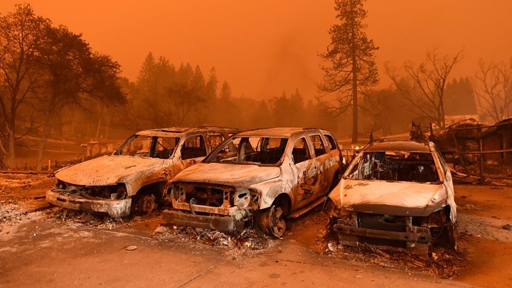 Thảm họa cháy rừng khiến 23 người Mỹ thiệt mạng ảnh 1