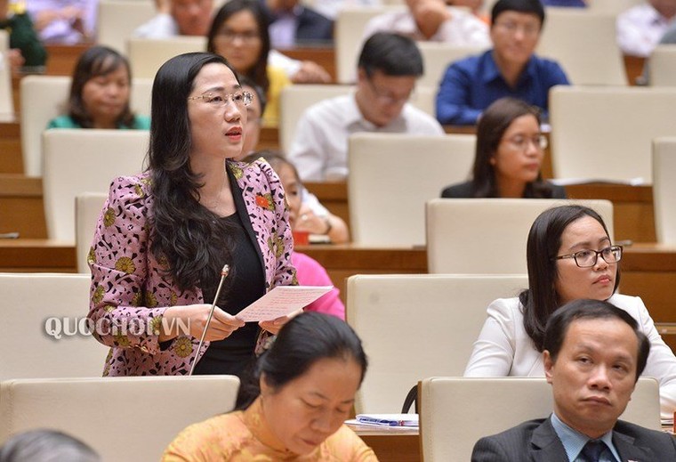 ‘Bao cát nhỏ trong hẻm thì thấy mà biệt phủ trái phép lại không thấy’ ảnh 1