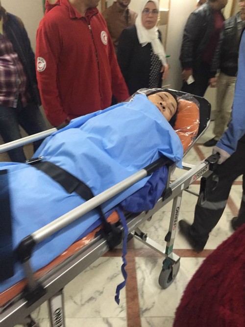 Ai Cập tạo điều kiện cho các du khách Việt Nam sớm gặp mặt gia đình ảnh 1