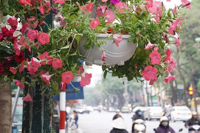 Thành phố Hà Nội khẩn trương chuẩn bị cho hội nghị thượng đỉnh ảnh 2