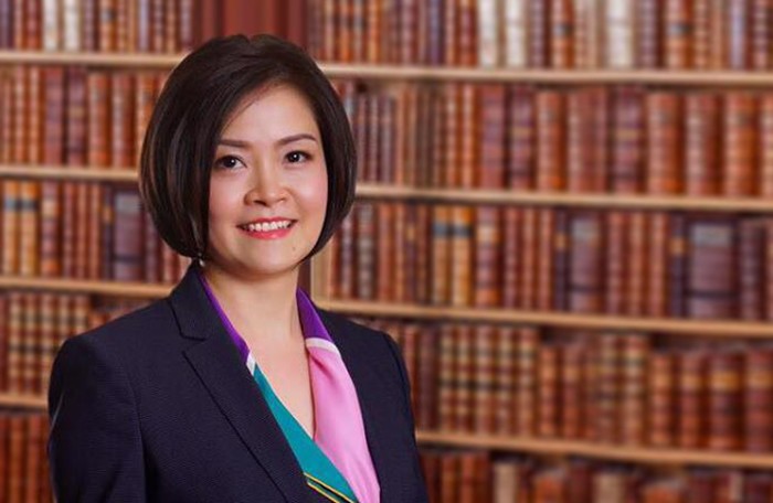 Tỷ phú Phạm Nhật Vượng 'rút' khỏi ghế Chủ tịch Vinhomes ảnh 1