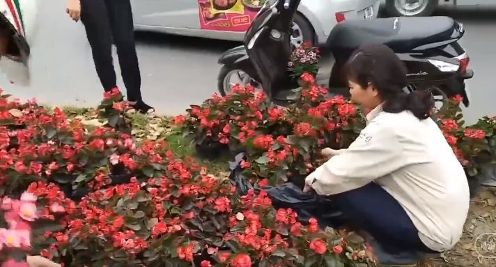 Người dân Hà Nội đánh xe ô tô để 'hôi hoa' trên đường Kim Mã ảnh 3