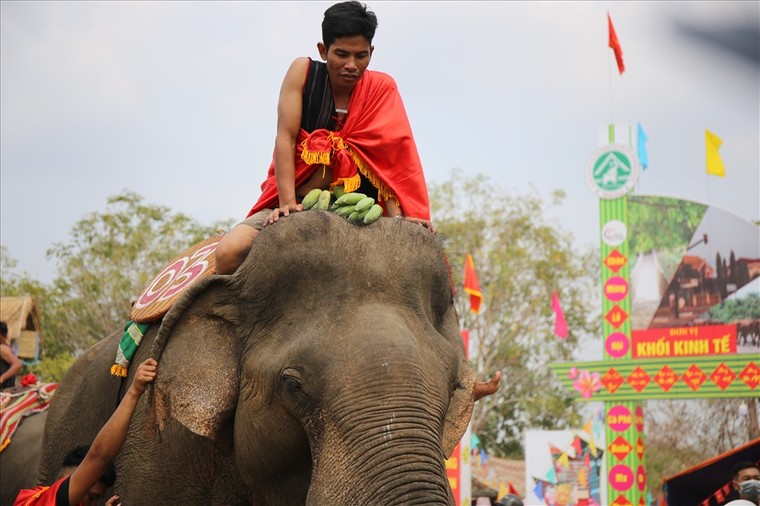 Người dân Buôn Đôn thích thú xem voi đá bóng ảnh 5