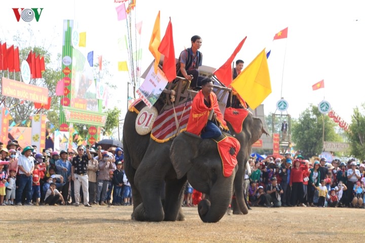 Người dân Buôn Đôn thích thú xem voi đá bóng ảnh 3