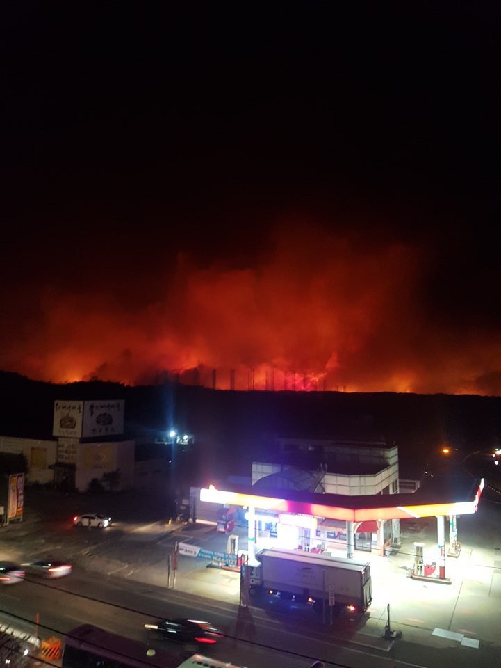 Hàn Quốc huy động quân đội ứng phó thảm họa cháy rừng ảnh 2