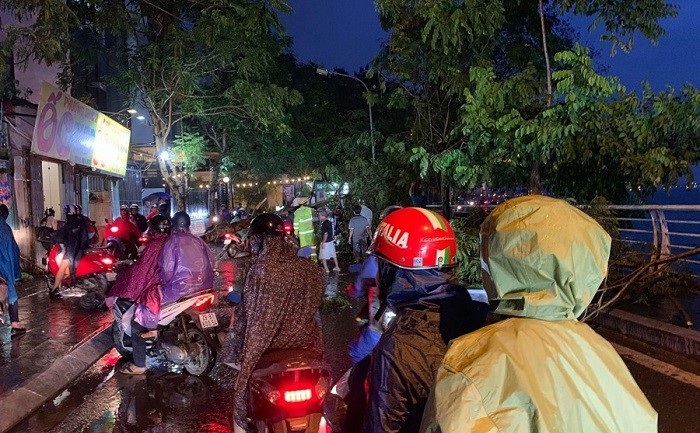 Cây đổ ven Hồ Tây khiến 2 phụ nữ bị thương ảnh 1