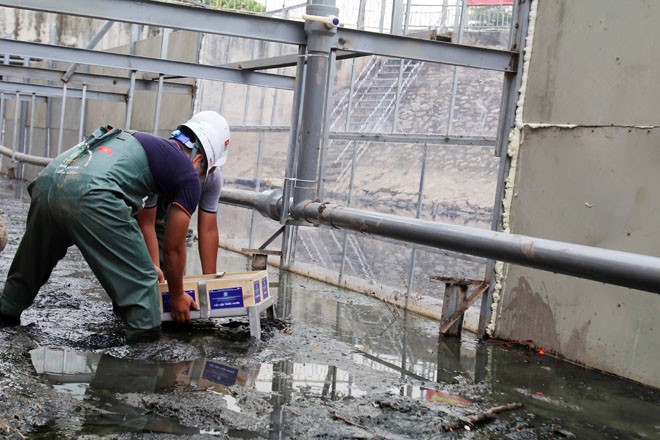 Nước sông Tô Lịch trong nhìn thấy đáy nhờ công nghệ Nhật Bản ảnh 3