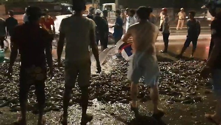 Lật xe tải chở cá trên QL 1A, người dân đổ ra đường thu gom cho tài xế ảnh 1