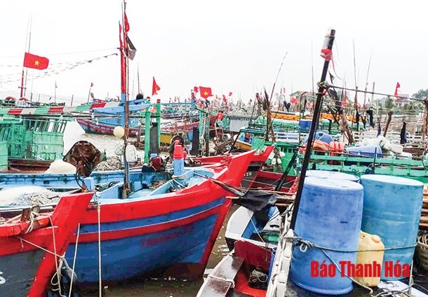 Các tỉnh Bắc Trung Bộ 'căng mình' chống bão số 4 ảnh 2