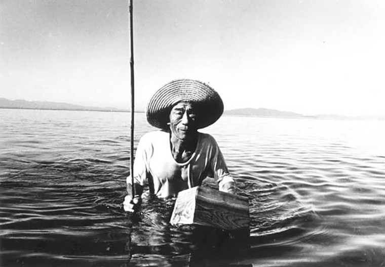 Thảm họa thủy ngân Minamata: Mặt tối của công nghiệp hóa ảnh 2