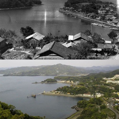 Thảm họa thủy ngân Minamata: Mặt tối của công nghiệp hóa ảnh 1