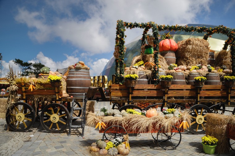 Ưu đãi cực sốc: Giá vé cáp treo Bà Nà chỉ còn 300.000 đồng ảnh 5