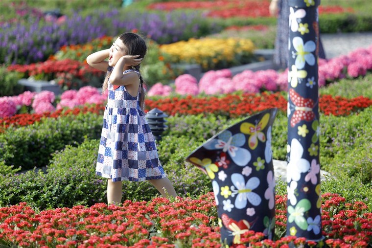 Ưu đãi cực sốc: Giá vé cáp treo Bà Nà chỉ còn 300.000 đồng ảnh 6