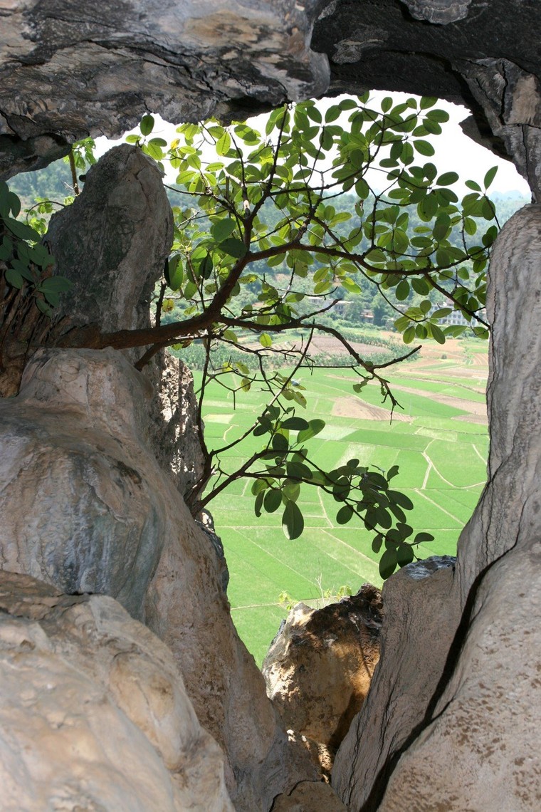 Phát hiện loài linh trưởng khổng lồ là nguyên mẫu của 'King Kong' ảnh 1