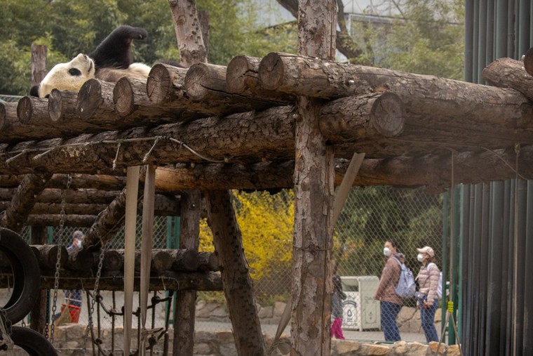 Các điểm du lịch Bắc Kinh 'rụt rè' mở cửa trở lại ảnh 11