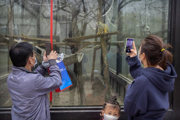 Các điểm du lịch Bắc Kinh 'rụt rè' mở cửa trở lại ảnh 8