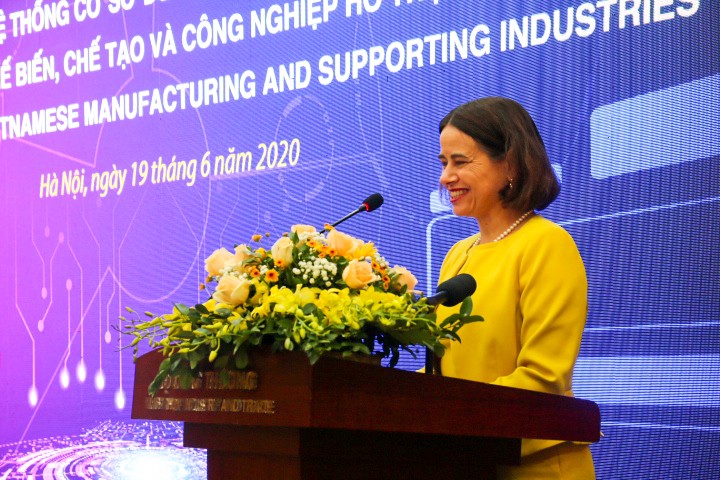 Thiết lập hệ thống database các ngành công nghiệp chế biến, chế tạo và công nghiệp hỗ trợ Việt Nam ảnh 2