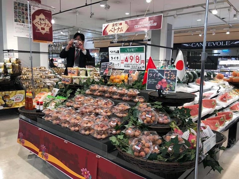 Hành trình đưa vải thiều Việt Nam vào thị trường Nhật Bản ảnh 2