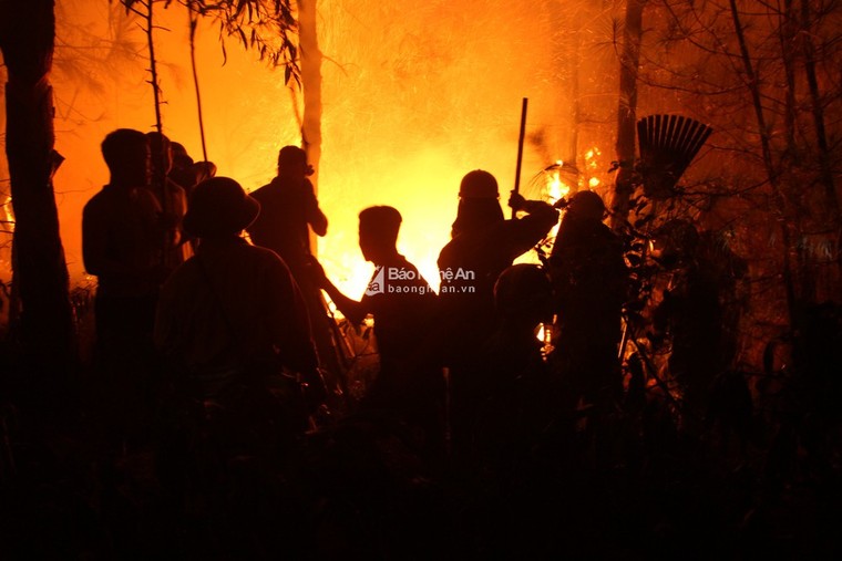 Trắng đêm dập lửa, cứu rừng thông cháy ngùn ngụt ở Nghệ An ảnh 4