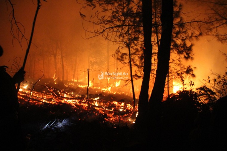 Trắng đêm dập lửa, cứu rừng thông cháy ngùn ngụt ở Nghệ An ảnh 2