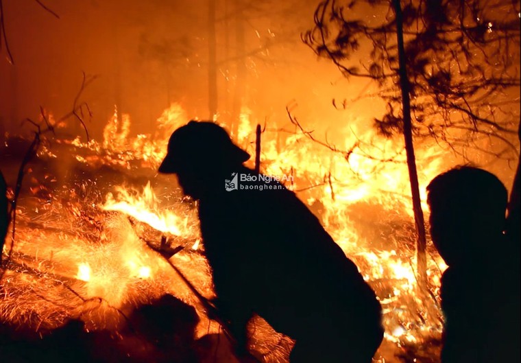 Trắng đêm dập lửa, cứu rừng thông cháy ngùn ngụt ở Nghệ An ảnh 7