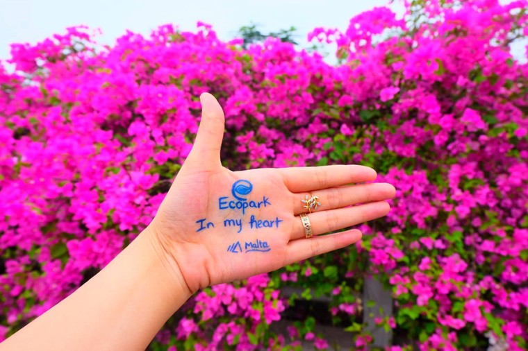 Những hình ảnh check-in 'siêu chất' tại Ecopark gây 'bão' cộng đồng mạng ảnh 12