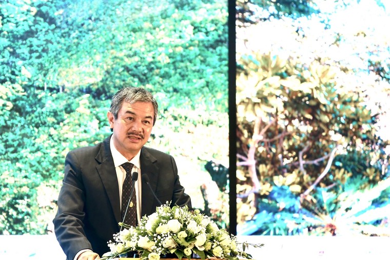 Chủ tịch Bamboo Airways: Mong muốn góp sức để du lịch Côn Đảo phát triển hết tiềm năng ảnh 1