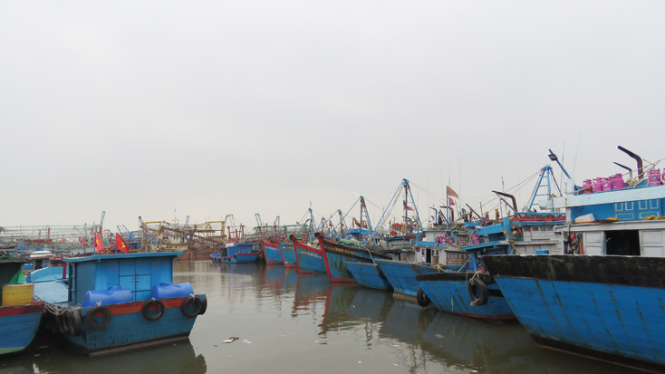 Bộ trưởng Nguyễn Xuân Cường thị sát công tác chống bão tại Quảng Bình ảnh 1