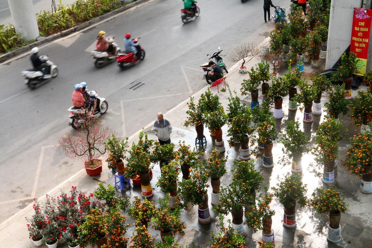 Chợ hoa những ngày giáp Tết: Đắt làm của, ế làm củi ảnh 1