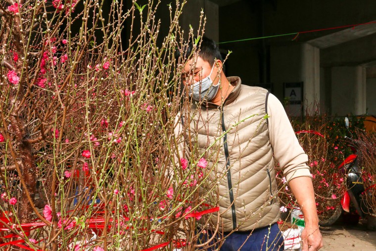 Chợ hoa những ngày giáp Tết: Đắt làm của, ế làm củi ảnh 3