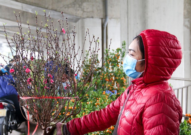 Chợ hoa những ngày giáp Tết: Đắt làm của, ế làm củi ảnh 2