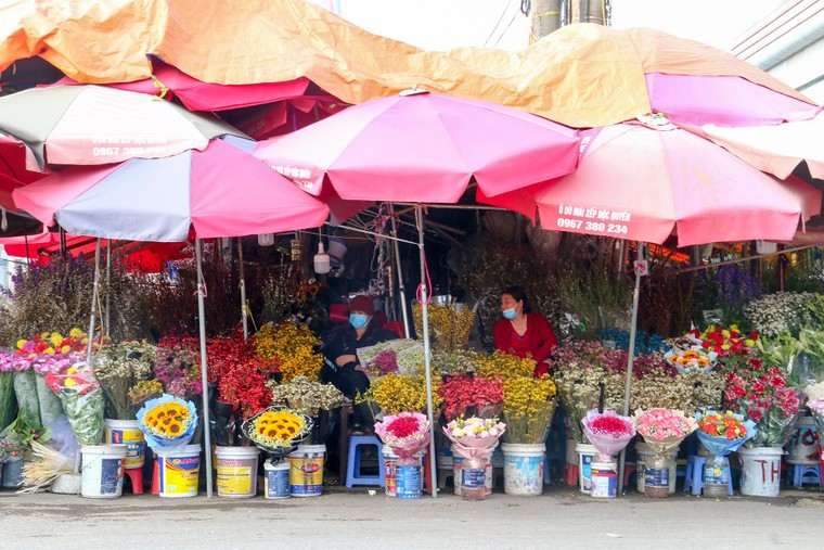 Chợ hoa những ngày giáp Tết: Đắt làm của, ế làm củi ảnh 5