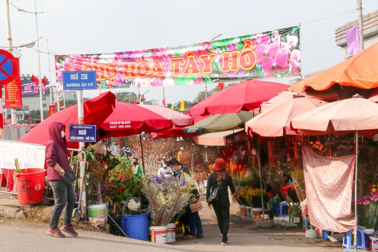 Chợ hoa những ngày giáp Tết: Đắt làm của, ế làm củi ảnh 4