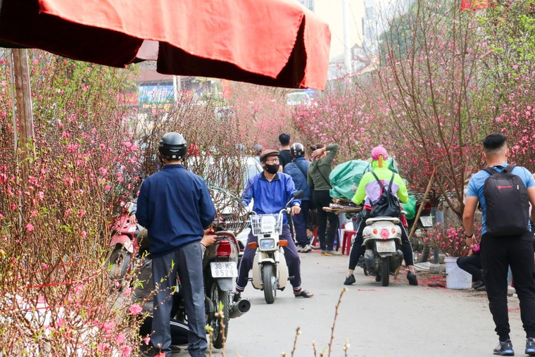 Chợ hoa những ngày giáp Tết: Đắt làm của, ế làm củi ảnh 6