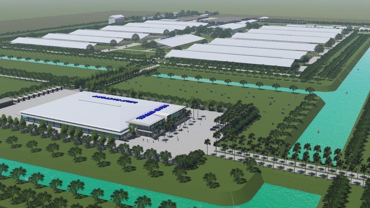 Phó Thủ tướng thường trực Trương Hòa Bình: 'TH đã thành công' ảnh 1