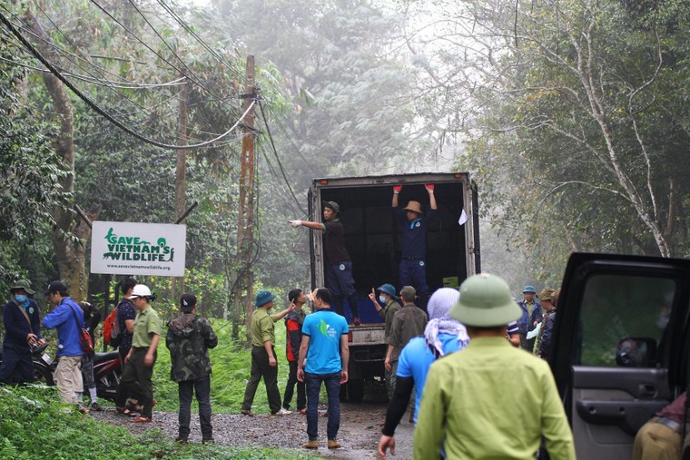 Tái thả 92 động vật hoang dã tại Vườn quốc gia Cúc Phương ảnh 1