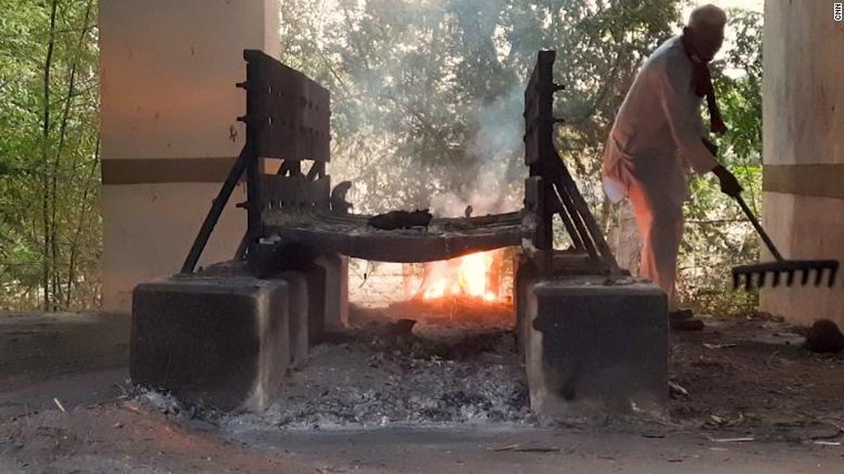 Dịch bệnh càn quét làng quê Ấn Độ ảnh 2