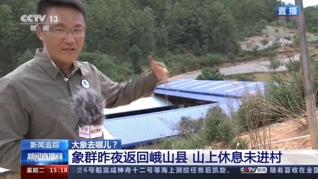 Đàn voi lạc khuấy đảo truyền thông Trung Quốc ảnh 1