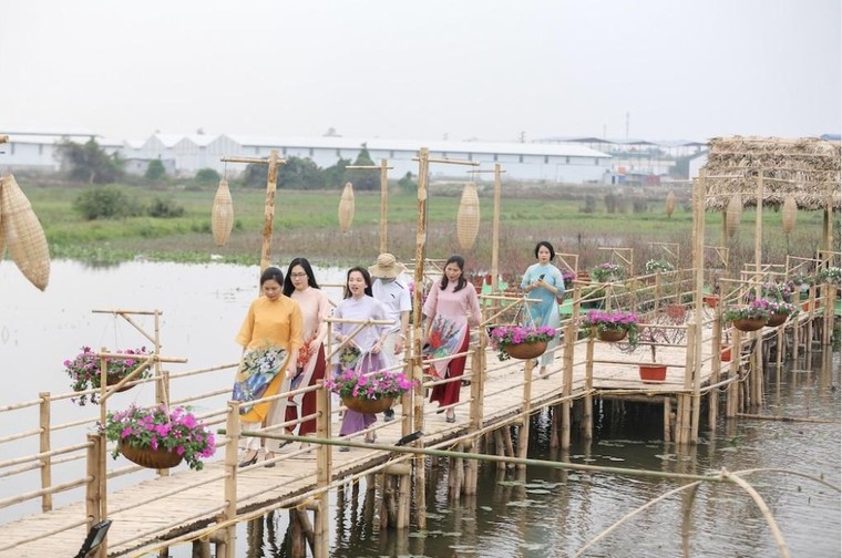 Đường hoa Home Hanoi Xuan 2021 tái hiện Tết Việt xưa ảnh 1