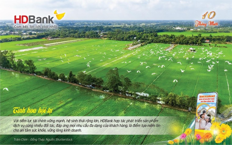 Lịch HDBank – Lịch Ngân hàng số mang đến 365 ngày Hạnh phúc ảnh 9