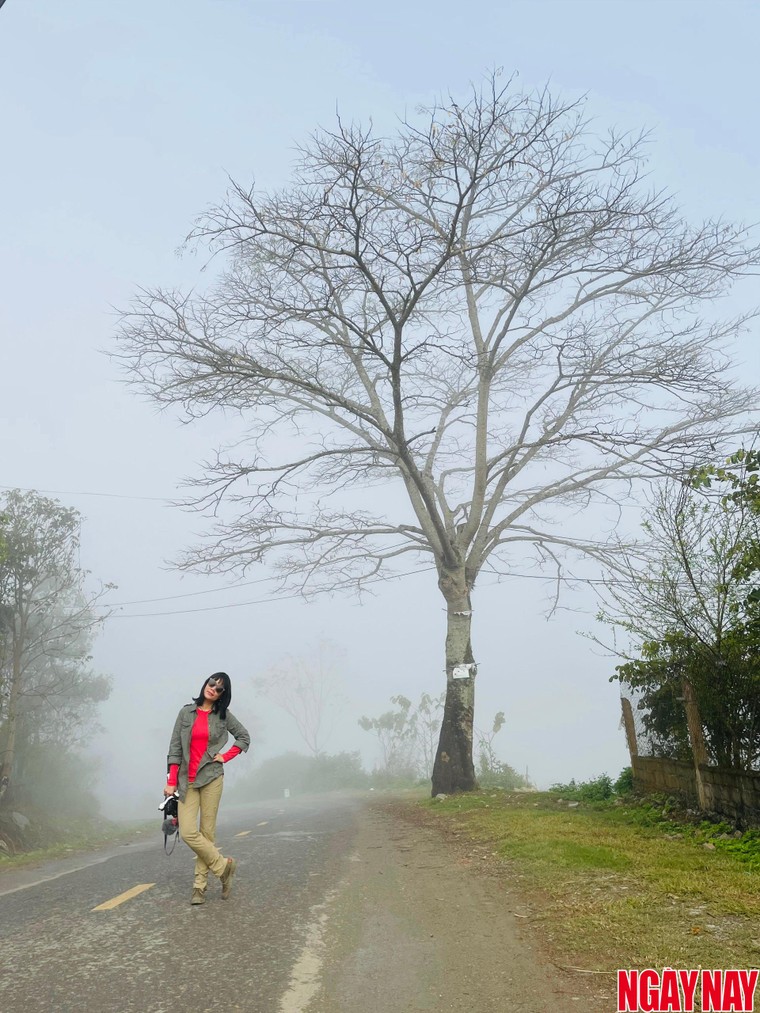 Nhật ký 99 ngày xuyên Việt: Vị trà Ô long trên đồi chè Mộc Sương ảnh 1