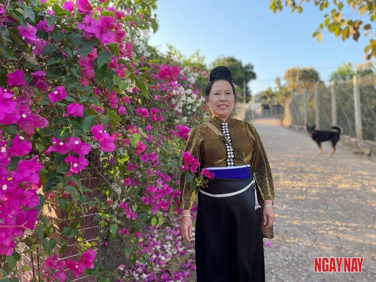 Nhật ký 99 ngày xuyên Việt: Chuyện về những chiếc lá trong vườn người Thái ảnh 1