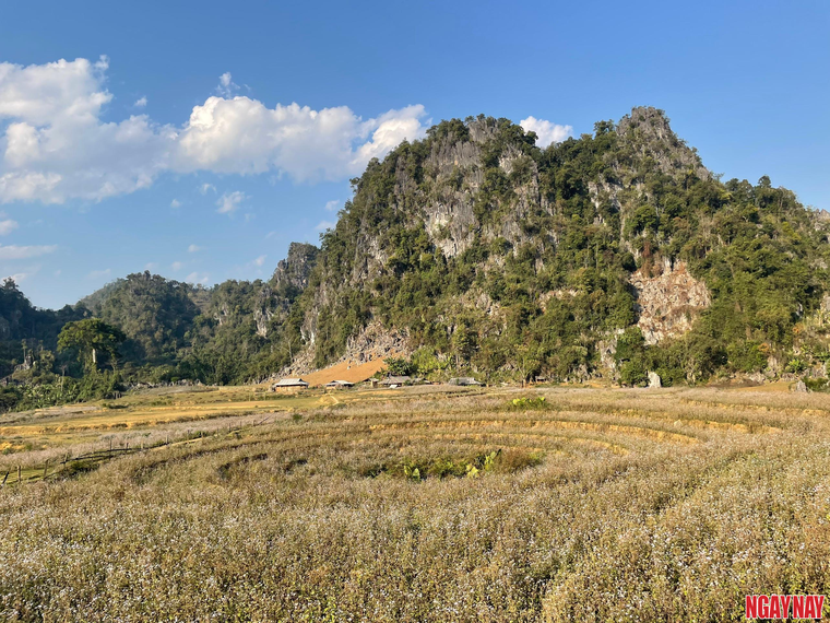 Nhật ký 99 ngày xuyên Việt: Tủa Chùa ngày tôi đến ảnh 16