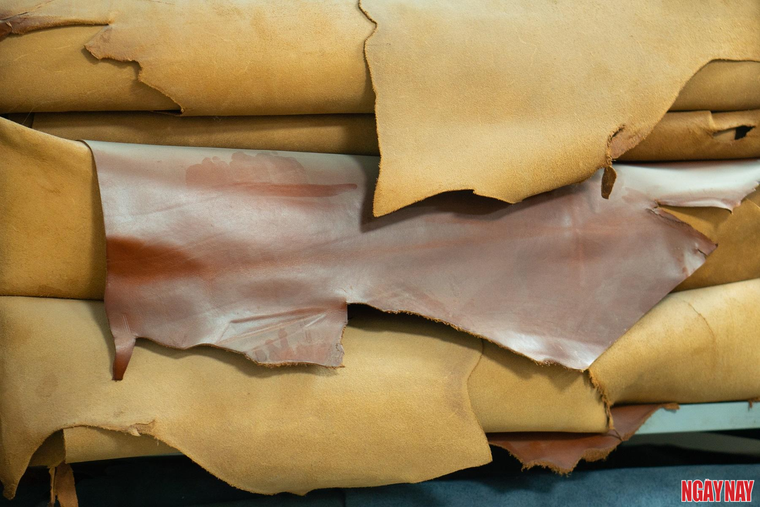 Người khoác 'tấm áo mới' cho sách ảnh 2