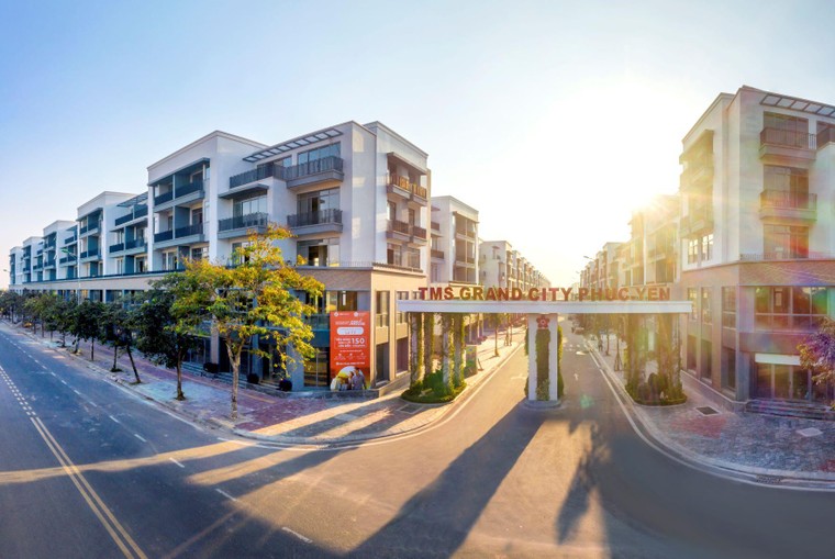 TMS Group - hành trình kiến tạo những miền đất tiềm năng ảnh 1