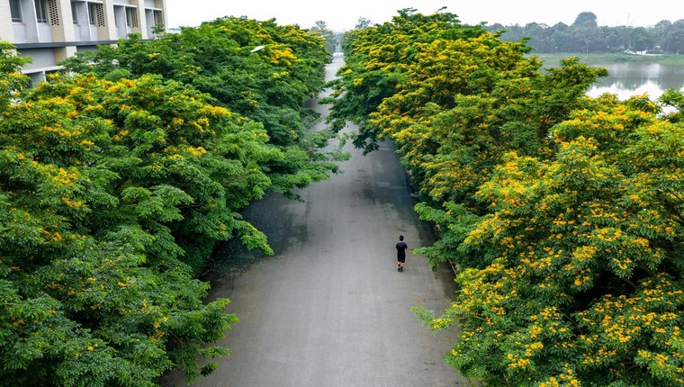 'Bí mật' của những người được thiên nhiên 'chữa lành' ở Ecopark ảnh 2